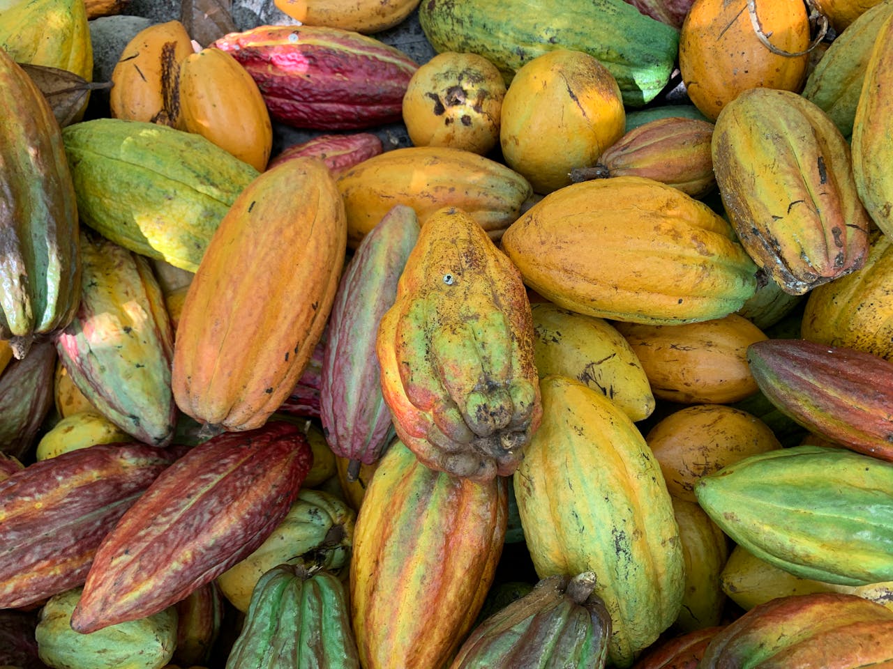 beneficios del cacao en el deporte intenso