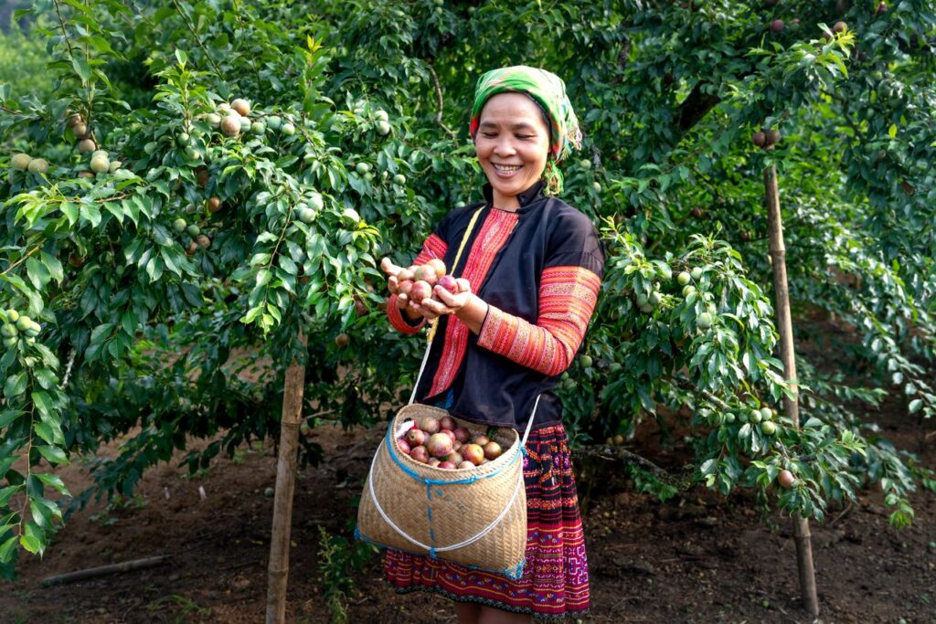mujer peruana recogiendo Camu Camu